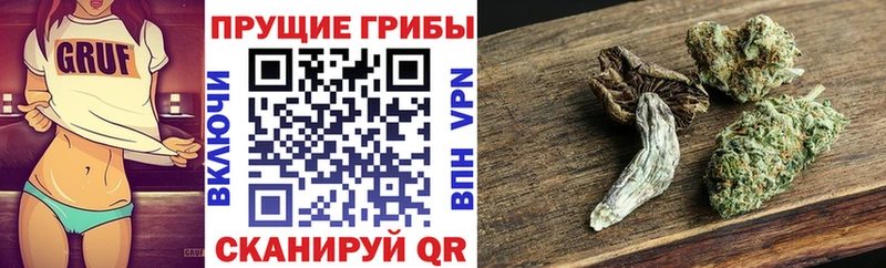 Галлюциногенные грибы GOLDEN TEACHER  OMG ССЫЛКА  Тосно 